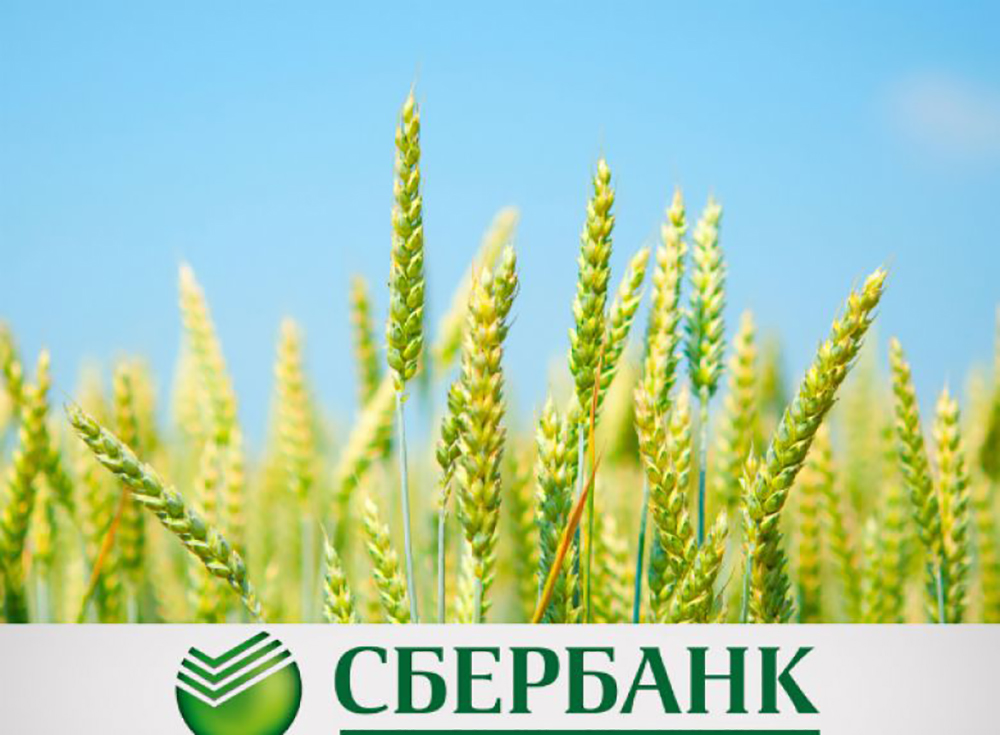 Сбербанк и Министерство сельского хозяйства намерены сотрудничать в области цифровой трансформации